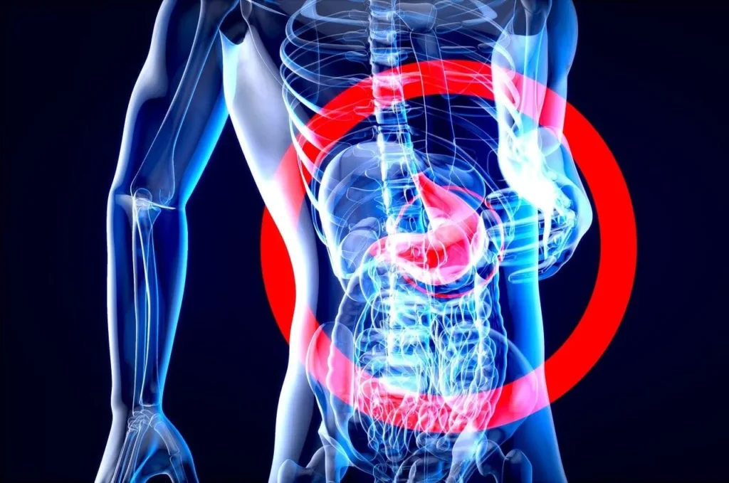 Exploring the Link Between Poor Digestion and Liver Health