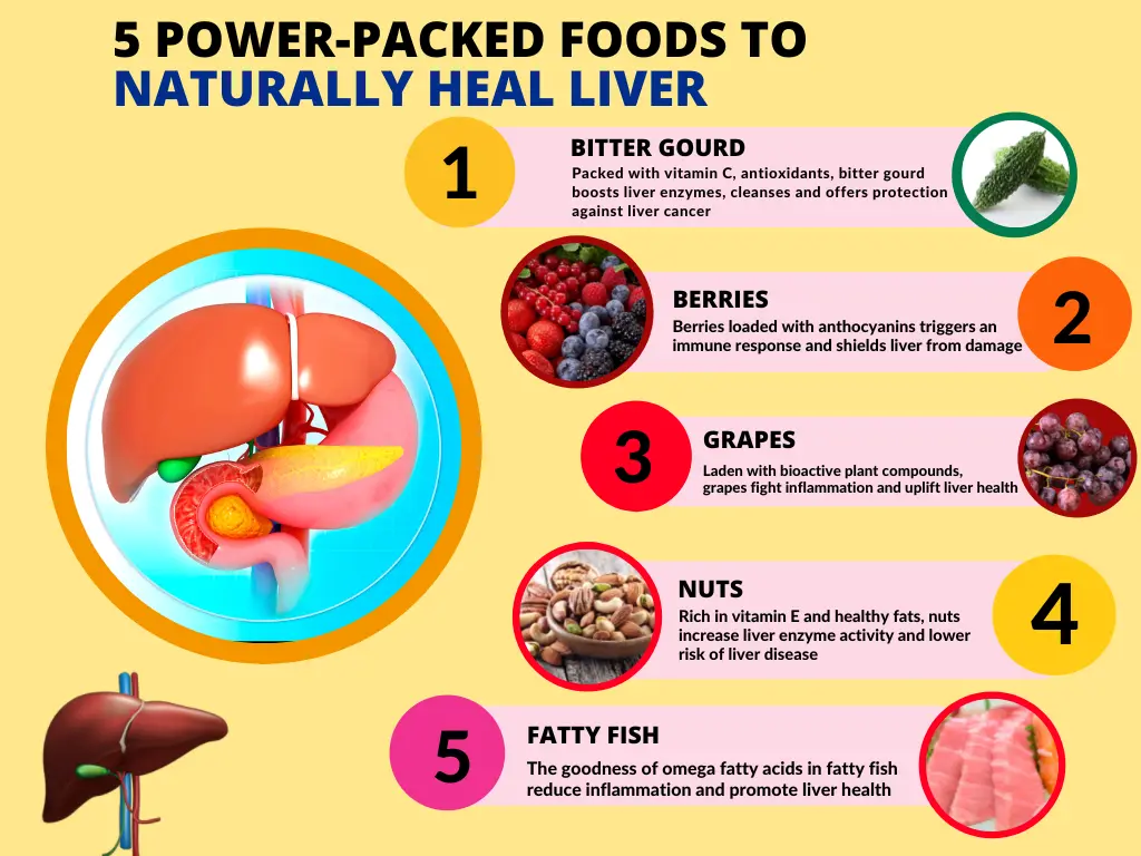 Foods That Best Support a Healthy Liver Foods That Best Support a Healthy Liver