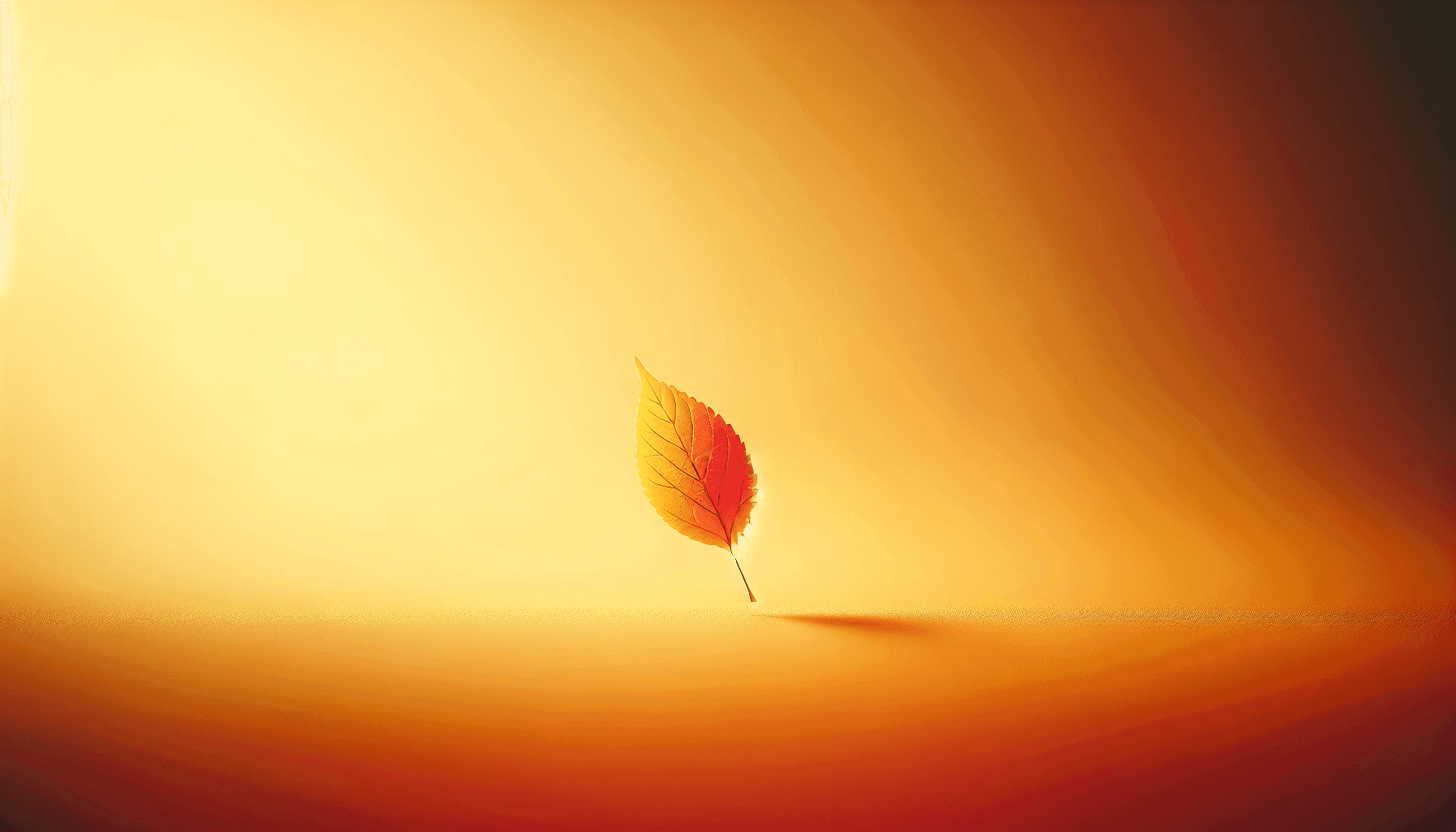 Recognizing the Signs of Starting Menopause