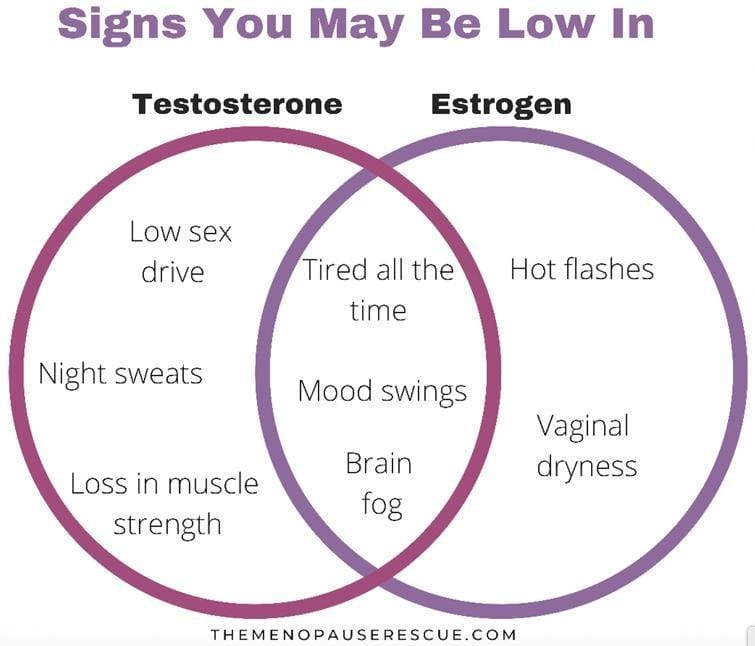 Understanding the Signs: What Does a Low Estrogen Face Look Like?