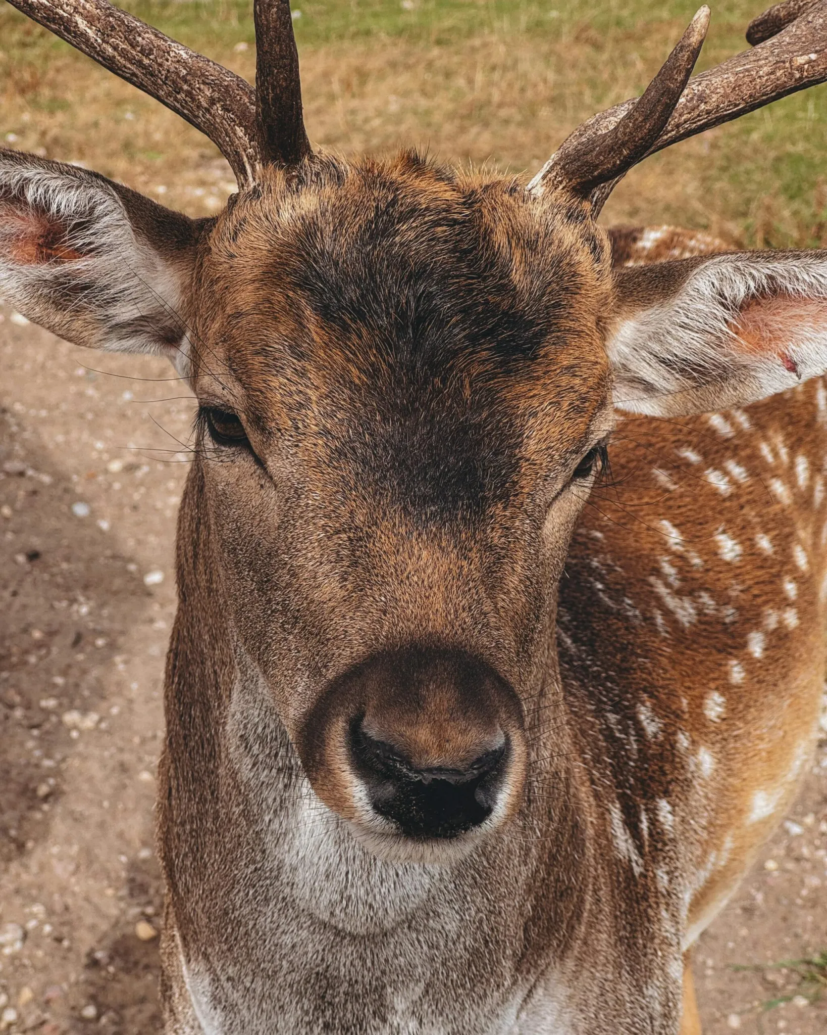 Is Menopause the Same Experience for All Women? Is Menopause the Same Experience for All Women?