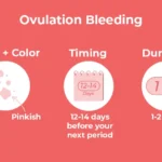 Ovulation Bleeding and Ovulation Recognizing: What’s Standard?