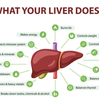 Unlocking the Secret to Energy and Weight Loss: The Role of Liver Function
