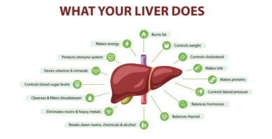 Unlocking the Secret to Energy and Weight Loss: The Role of Liver Function