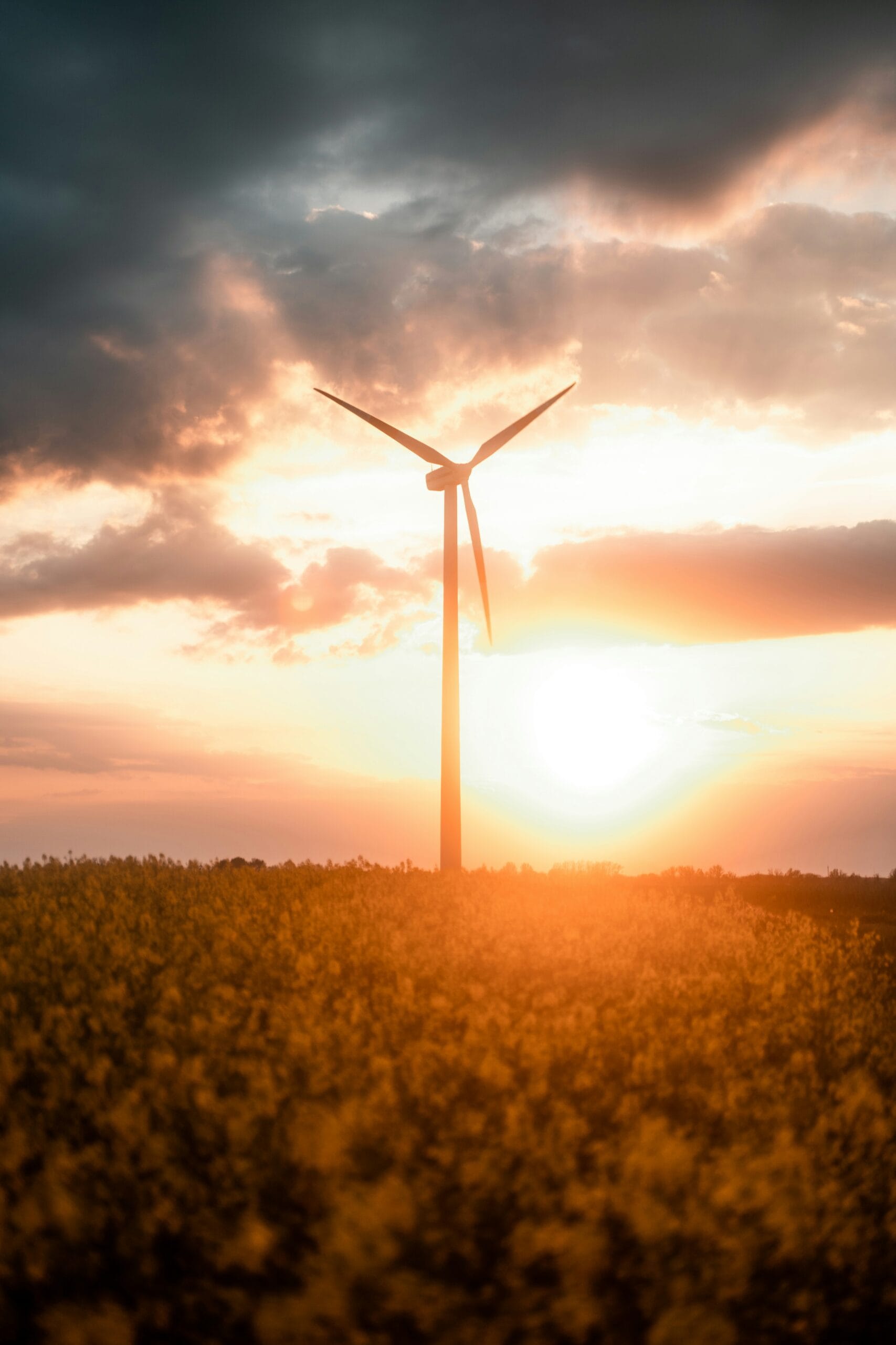 Discovering Peak Hours for Electricity Usage