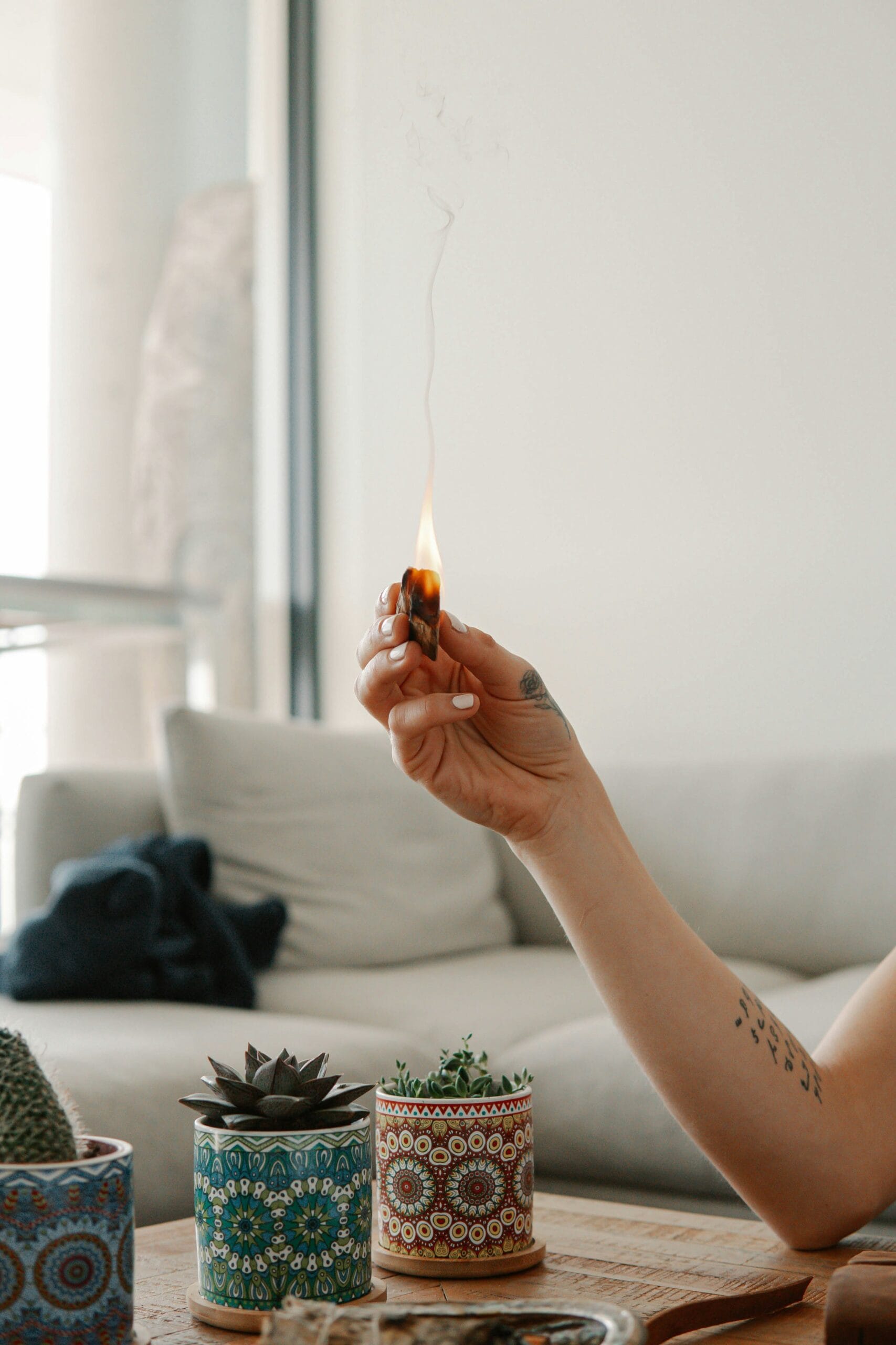What Foods Burn Belly Fat? Discover the Best Choices for a Healthier You