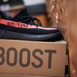 The Top Supplements to Increase Energy and Focus