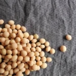 Plant-Powered Performance: How Plant-Based Supplements Can Enhance Athletic Performance