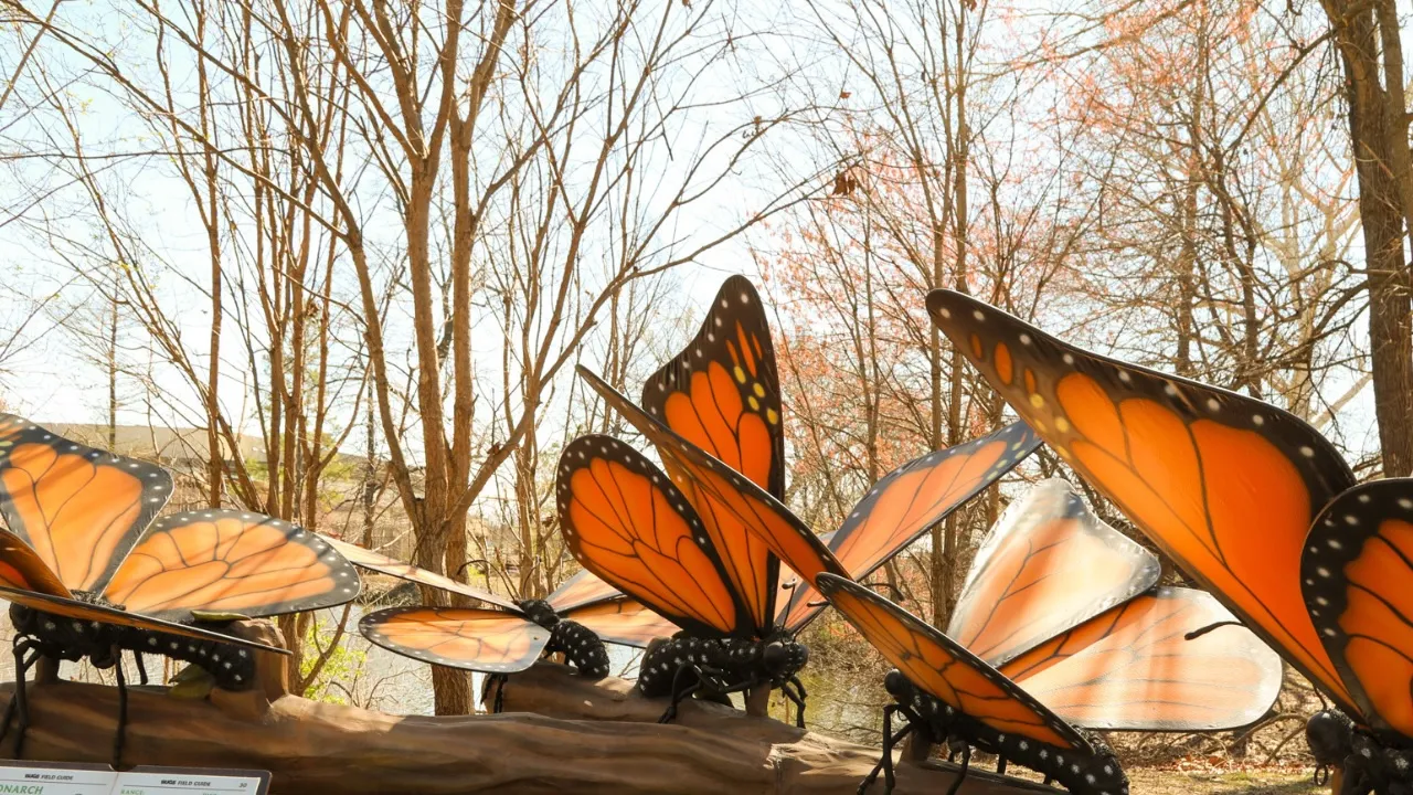 Fairchild Tropical Botanic Ground’s Original Exhibition Will Give You a Buzz