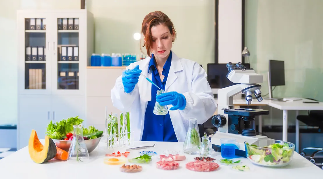 The 3 Meals Components You Will have to Be Apprehensive About