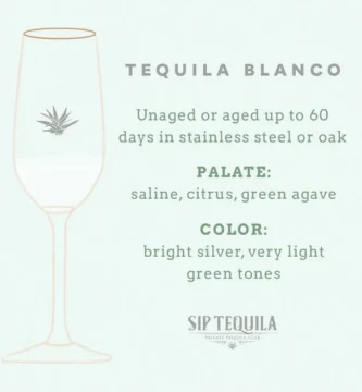 Sip Occurs: The place to Praise Nationwide Tequila While