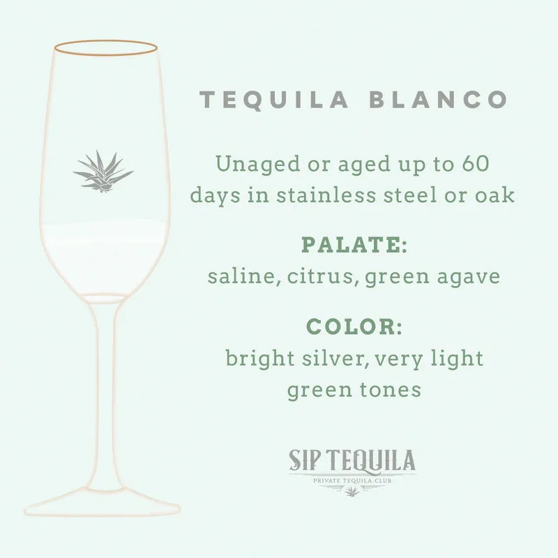 Sip Occurs: The place to Praise Nationwide Tequila While