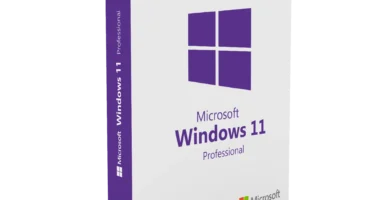 Step Away From Subscriptions and Get right of entry to Home windows 11 Professional and Microsoft Place of business Professional 2019 for 