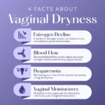 The Silent Symptom: How Menopause Can Lead to Vaginal Dryness
