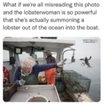 Wholesome Seaside Reads if you happen to’re a Bibliophile