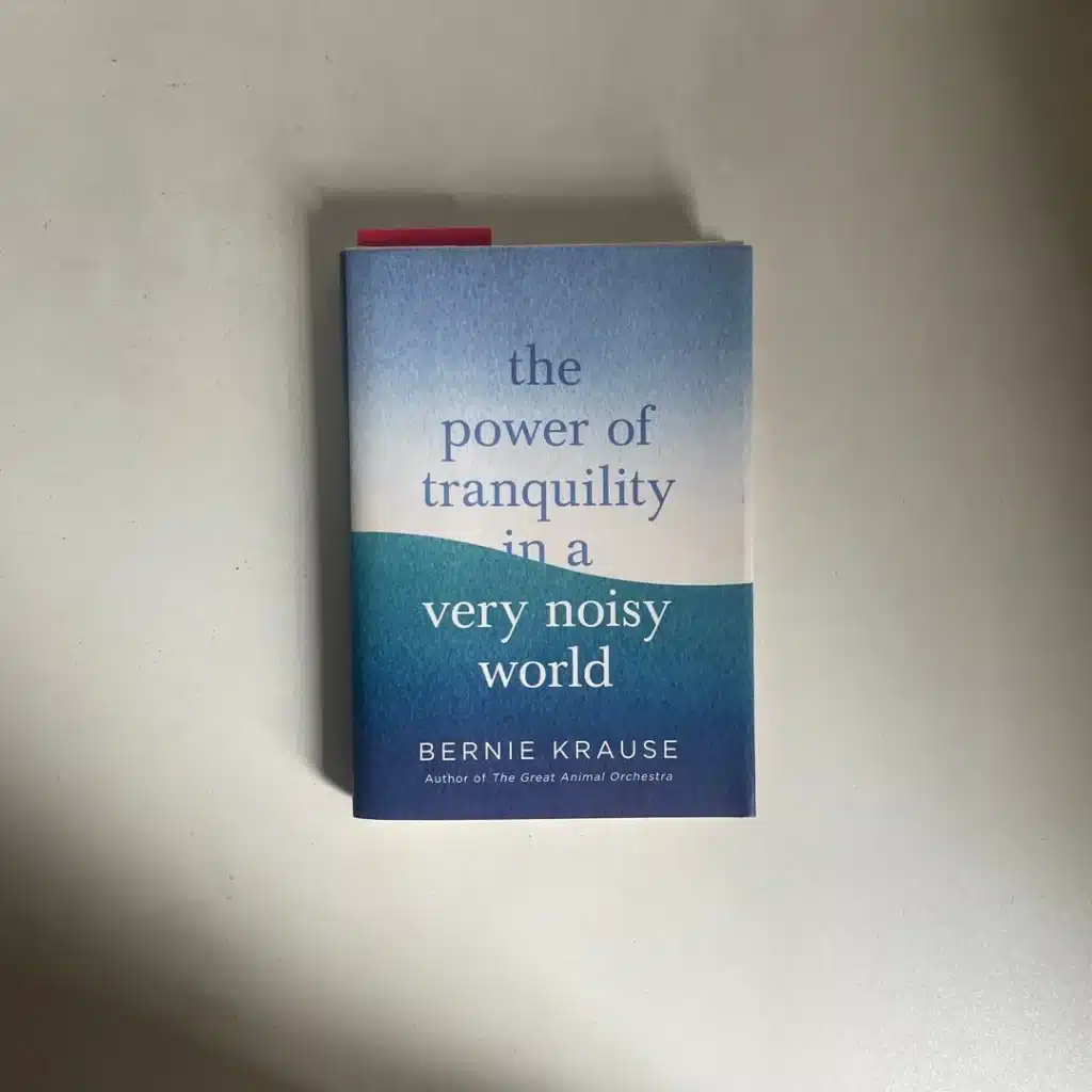 What Tranquility Management Appears Like in a Noisy International What Tranquility Management Appears Like in a Noisy International