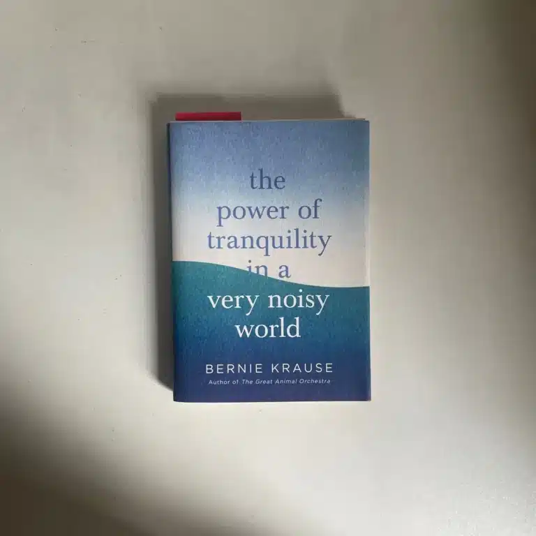 What Tranquility Management Appears Like in a Noisy International