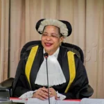 Heroes Among Us: Meet the Men Rescuing Amazon Wildlife