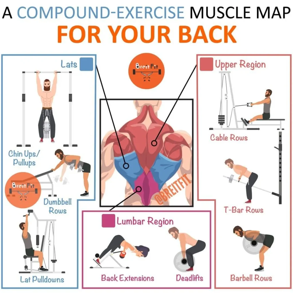 How Compound Actions Can Backup You Bulk Up & Assemble Muscle How Compound Actions Can Backup You Bulk Up & Assemble Muscle