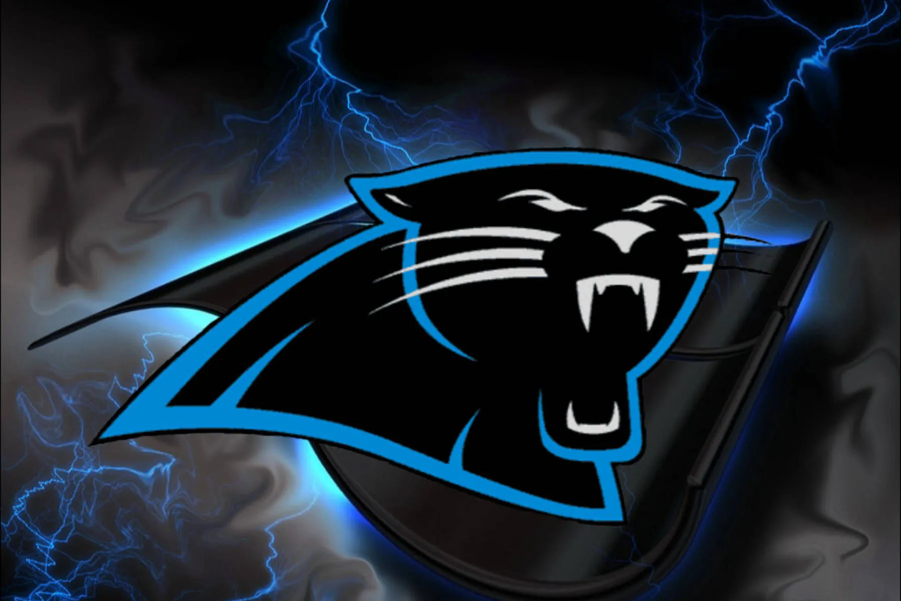 Panthers Start Unused Bankruptcy as CEO Steps Ailing