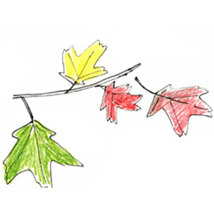 cartoon drawing of twigs & leafs.
