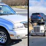 Simple Techniques to Reinforce the Look of Your Backyard