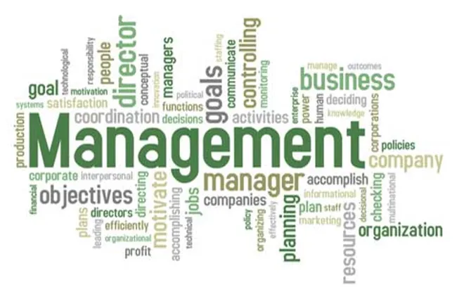 The Management Observe That Dramatically Improves Retention The Management Observe That Dramatically Improves Retention