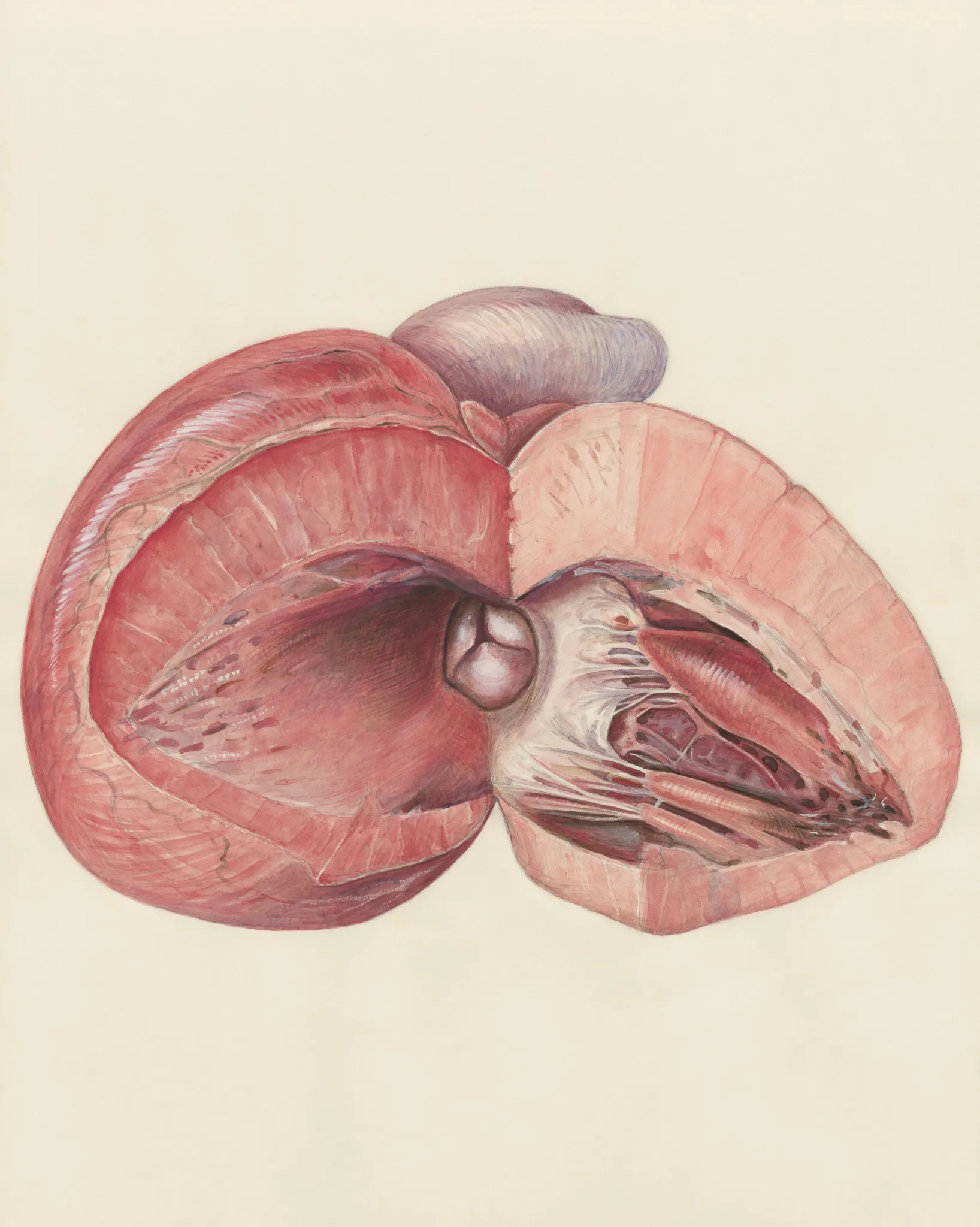 Navigating PCOS with the Keto Diet: What You Need to Know