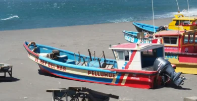 Miraculous Menorescue Operation: All Miners Rescued Safely