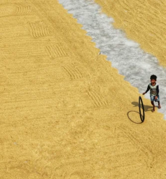 Team USA Paralympic Sled Hockey Stars Declan Farmer Describes His Life as an athlete