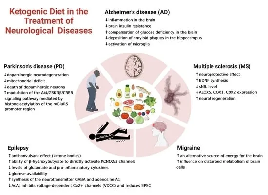 From Epilepsy to Alzheimer’s: The Potential of Keto for Neurological Disorders