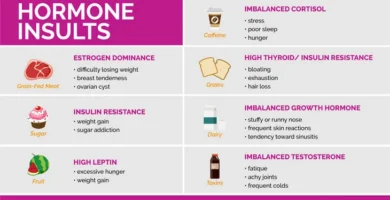 Hormone Regulation on the Keto Diet: What You Need to Know