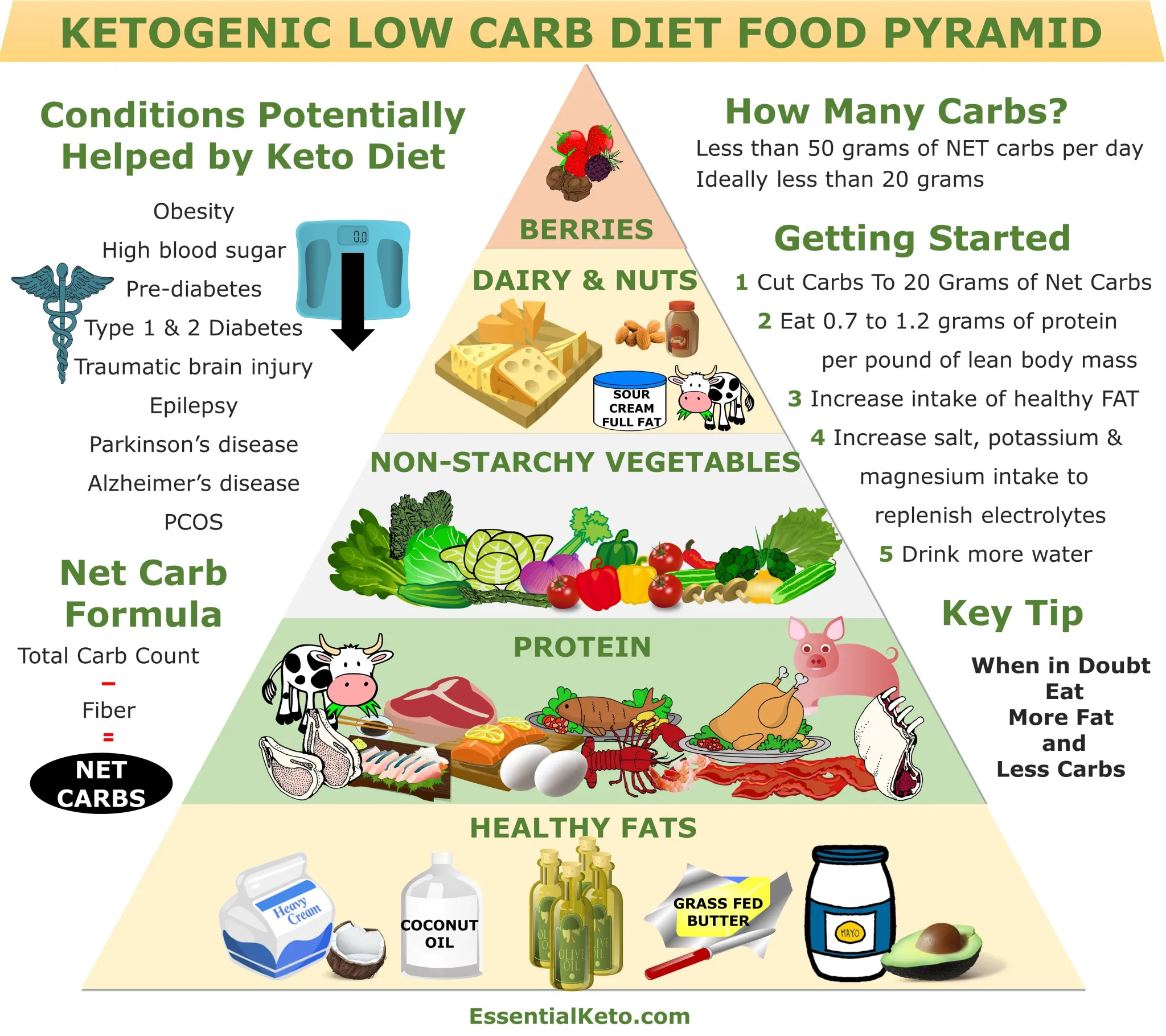 Keto or Low-Carb: Choosing the Right Diet for Your Health Goals
