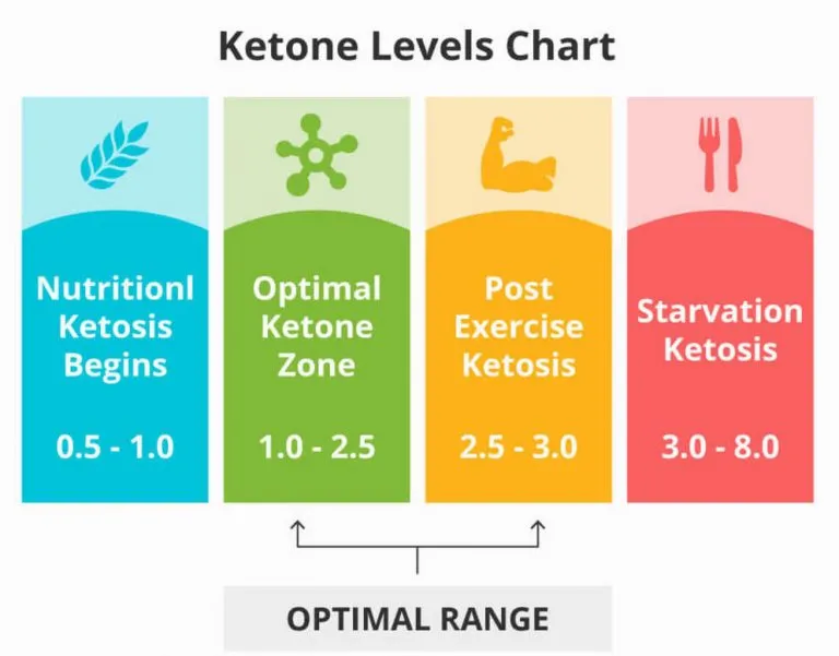 Breaking Down the Science of Ketosis: What You Need to Know to Get Started
