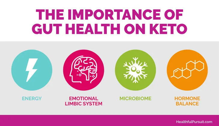 Why Gut Health Is Crucial for Keto Success