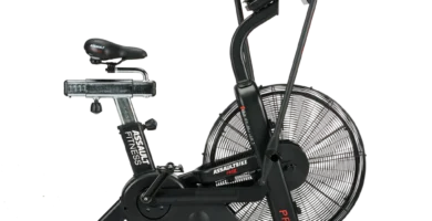 Assault Fitness AssaultBike Pro X Review (2024)