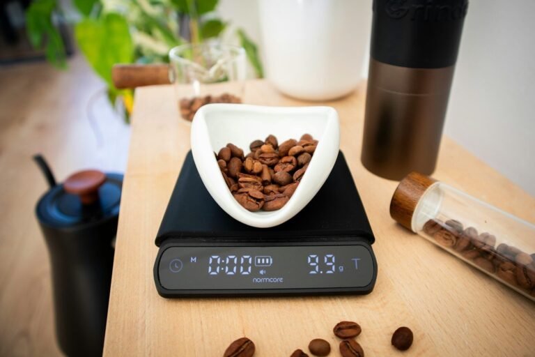 Digital food scale