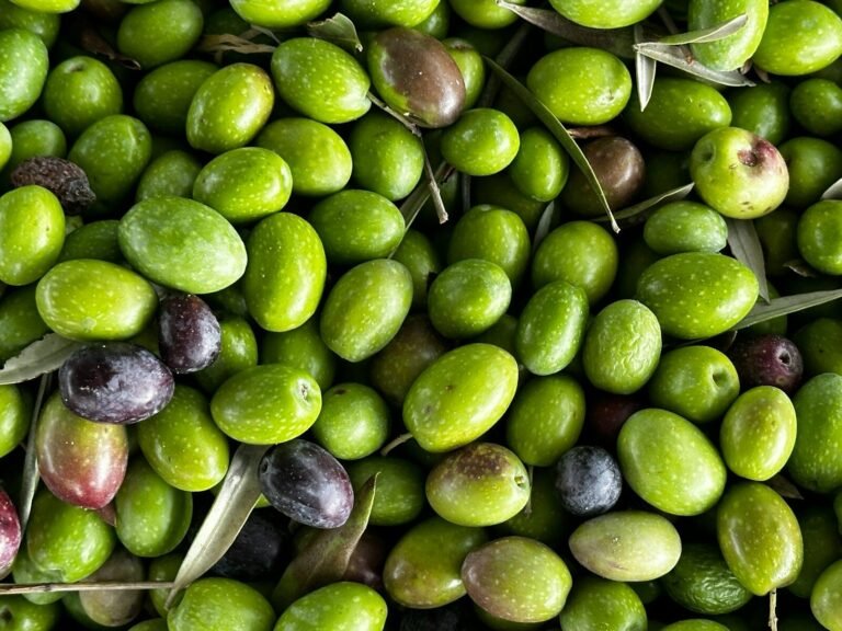 Green olives, a Mediterranean diet staple