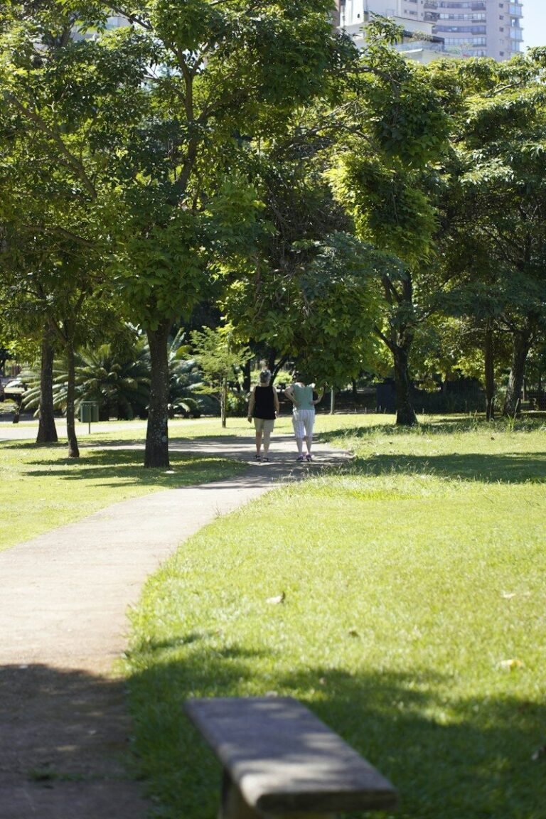 People walking on a park path